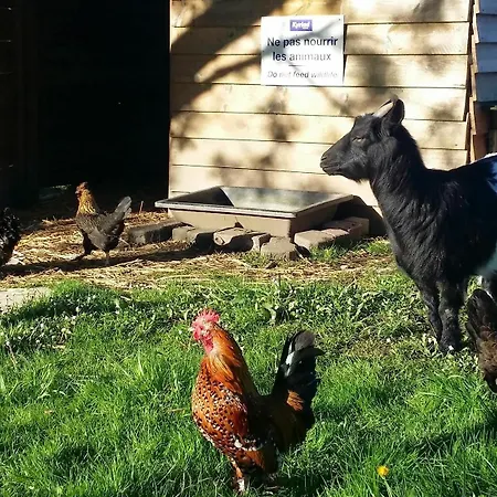 Kyriad Saint Emilion Libourne