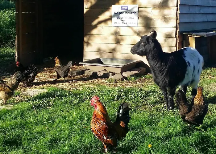 Kyriad Saint Emilion Libourne